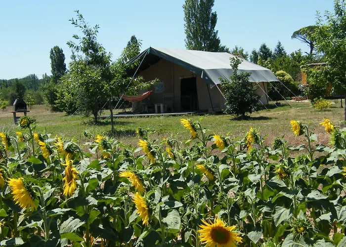 Les De Fiolles Hotel Montans